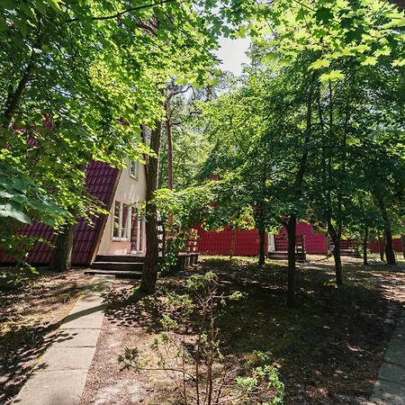 Rewita Kormoran 펜션 헬